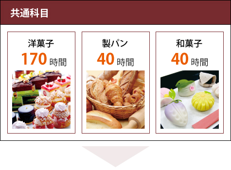 1年次国家資格取得