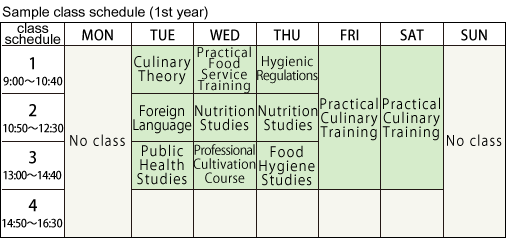 Sample class schedule (1st year)
