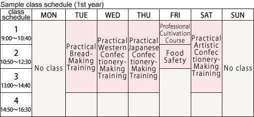 Sample class schedule (1st year)